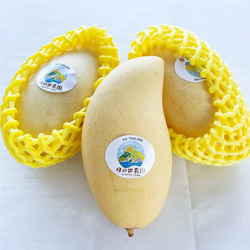 (đặt hàng trước)quả xoài tươi (khoảng 12-18 cái /thùng)
