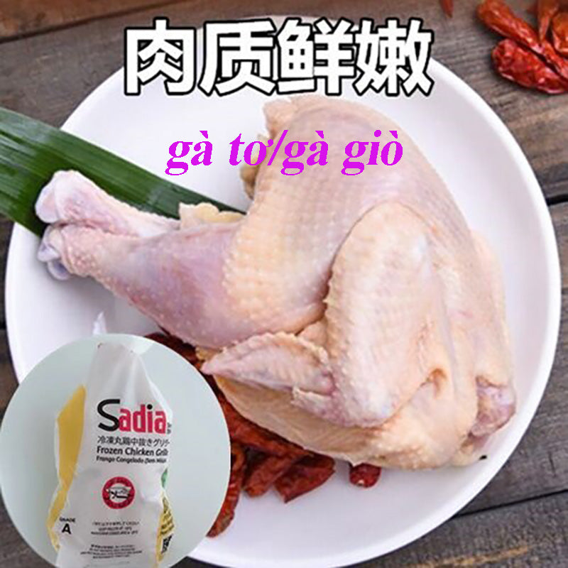 Gà tơ,giò sống,gà non 700g đông lạnh