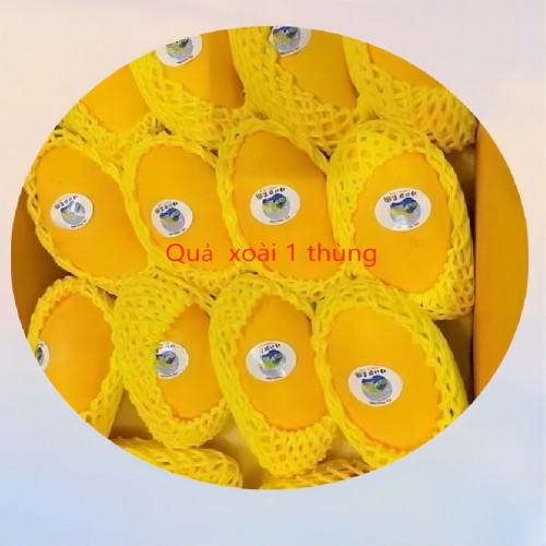 (đặt hàng trước)quả xoài tươi (khoảng 12-18 cái /thùng)