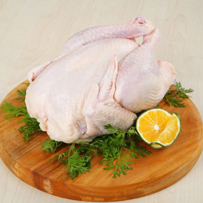 Gà tơ,giò sống,gà non 700g đông lạnh
