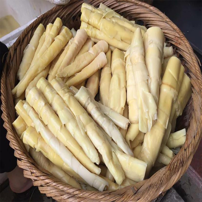 *MĂNG NỨA 300g đặc sản Tây Bắc