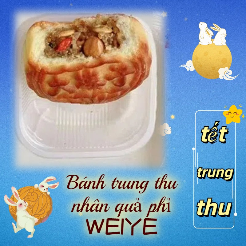 (đặt hàng trước )Bánh trung thu nhân quả phỉ WEIYE 1 cái 100g