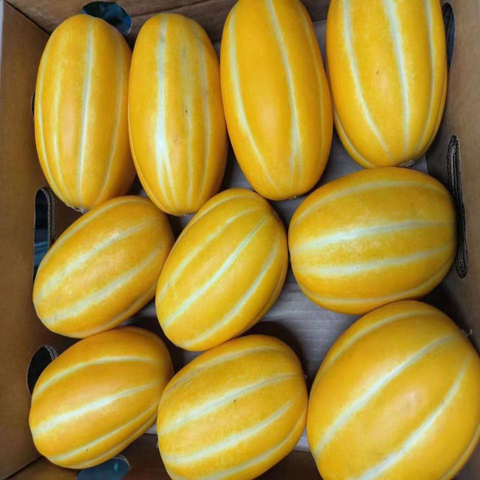(đặt hàng trước)dưa lê Hàn Quốc(size nhỏ)