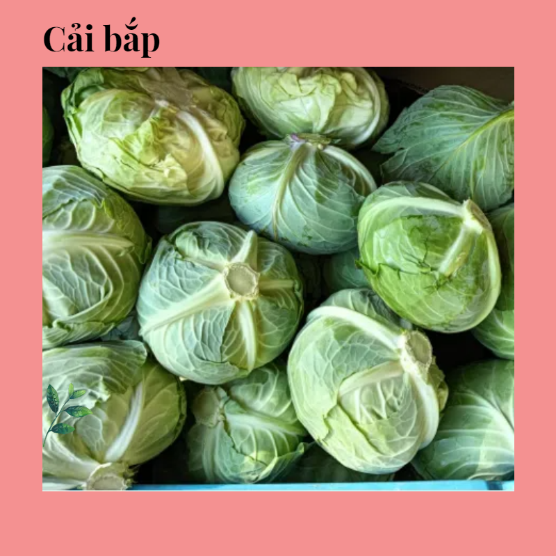 Cải bắp 500g