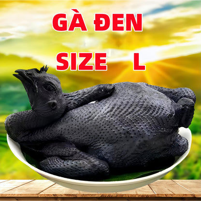 " Gà ác (đen )size L Xuất xứ:Malaysia khoảng 700-1050g, đông lạnh, phi chân không"